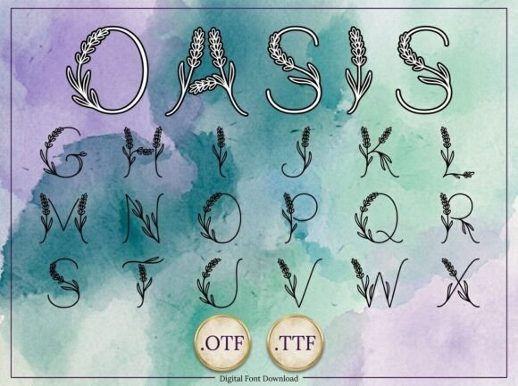 Oasis: A Bold Typeface for Unforgettable Branding